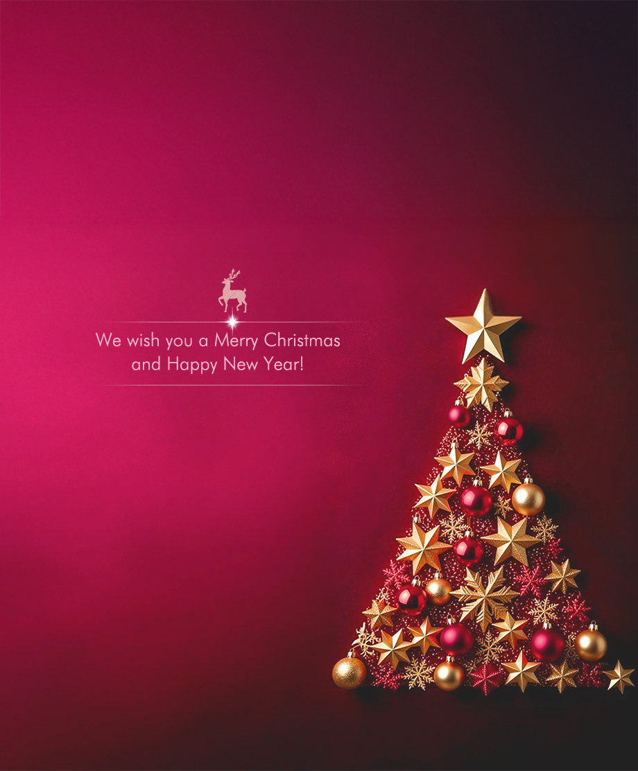 Merry Christmas and Happy new year